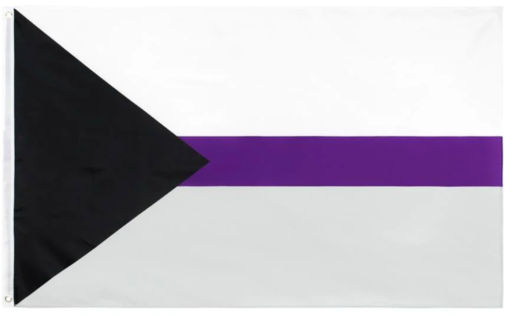 Demisexual Flag